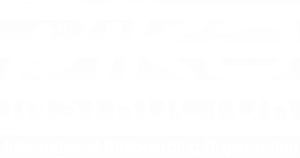 iko kite instructeur 300x158